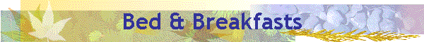 Bed & Breakfasts